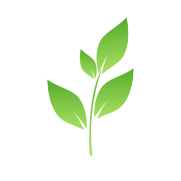 Leaf 1